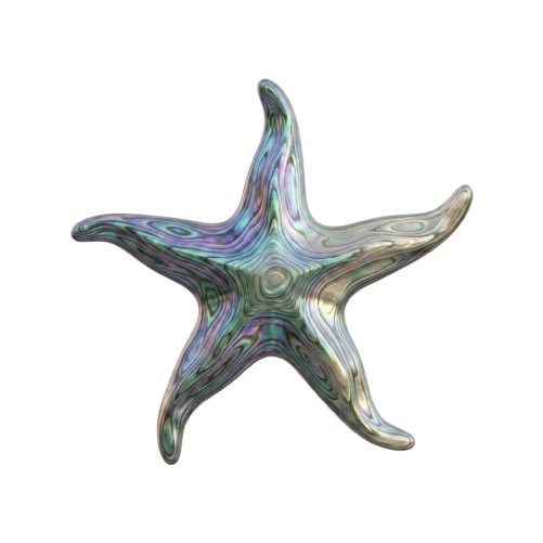 Estrella de mar